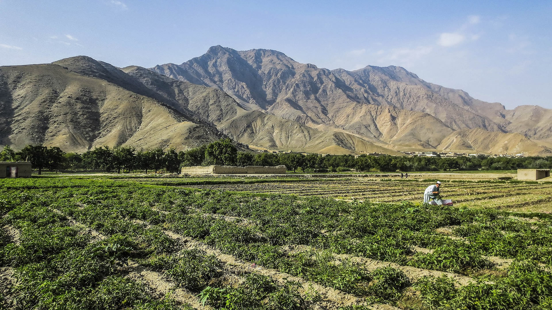 Afghan Countryside